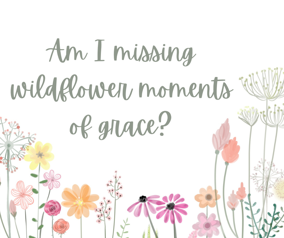 Seeking God in the Missed Moments